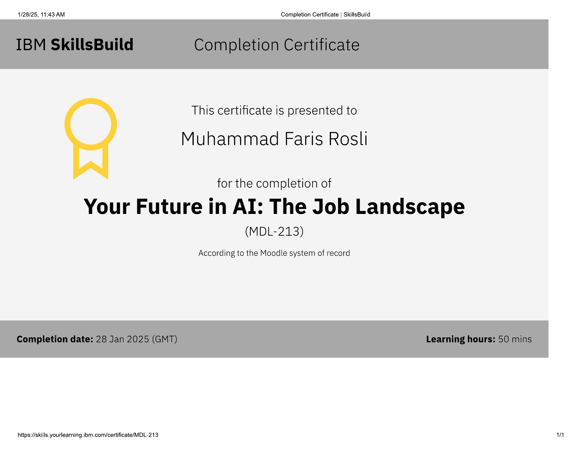 IBM SkillsBuild Your Future in AI certificate